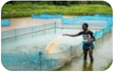Outdoor fish farm